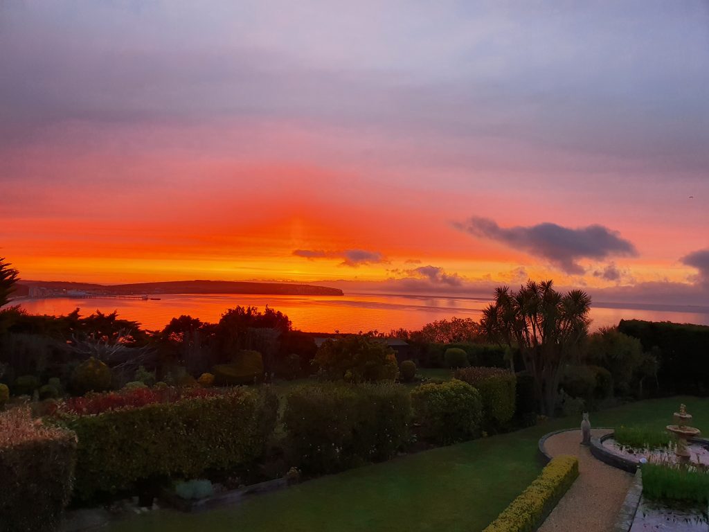 2021-05-20 05.01.30 Winter Sunrise across the garden